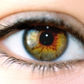 Une vision saine dans un corps sain Une vision saine dans un corps sain