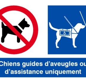 Nouvelle signalétique pour les chiens guides ! Nouvelle signalétique pour les chiens guides !